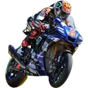JoshHerrinWheelie