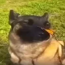emoji_4