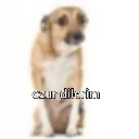 emoji_24