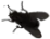 them_turk2