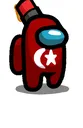 them_turks