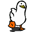 Ordek