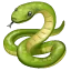 snake