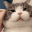 CatHappy