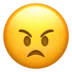 TURK_sinirli