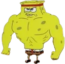 sungerbob