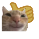 vesperion_kedigulumsuyor