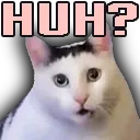 vesperion_huh