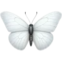 bawhitekelebek
