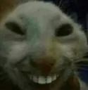 heheheh