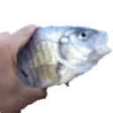 baliktuttum