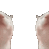C_CatsVibing