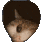 C_CatPeek