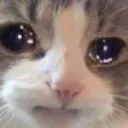 h_