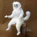 dalga_what