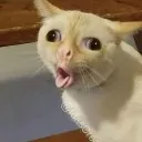 iyy