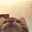 catmmh