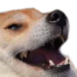 Shin_Kek