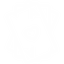vexira_kart