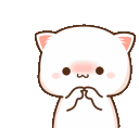 miyav_utan