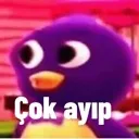 a_cokayib