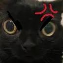 emoji_13