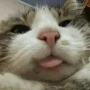 emoji_14