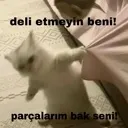 delirtmeyinlanbe