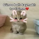 guenaydinnnn