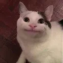 ehee