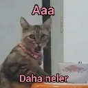 kuruiftira