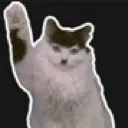hi