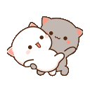 miyav_dans