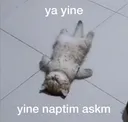 kedii