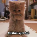 kuestuem