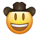 cowboyayfon