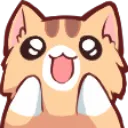 kedi
