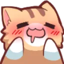 kedi