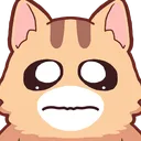 kedi