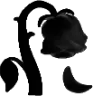 racongul