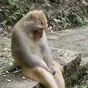 utku