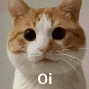 cat_2