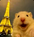 selfiecekenhamster