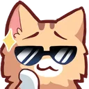 sunglases