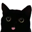 2614catmelm