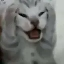 ist_abooow