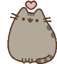 cute_pusheen