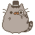 FancyPusheen