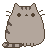 PusheenBlink
