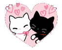 catsduo